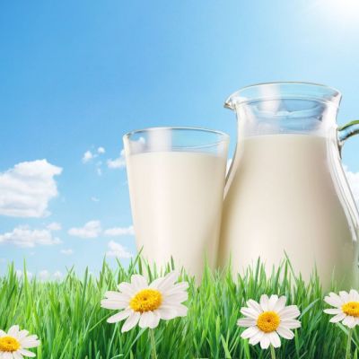 منتجات البان